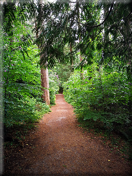 foto Parco di Killarney